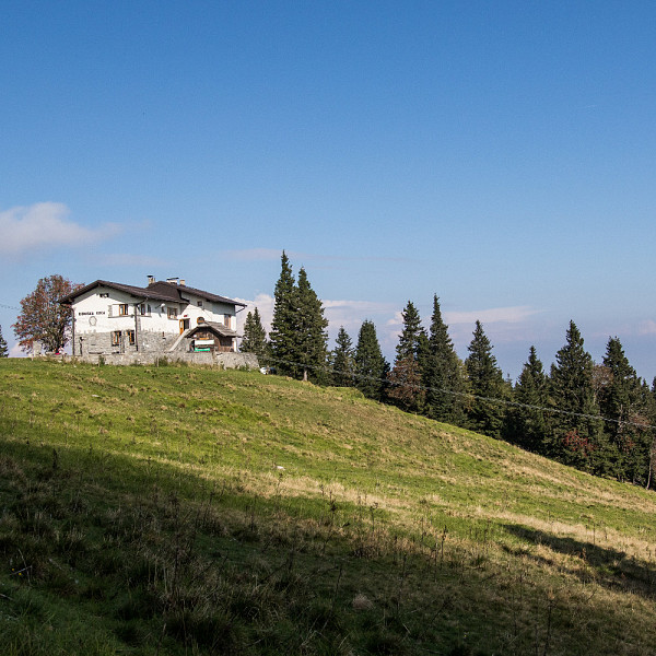 Ribniska koca